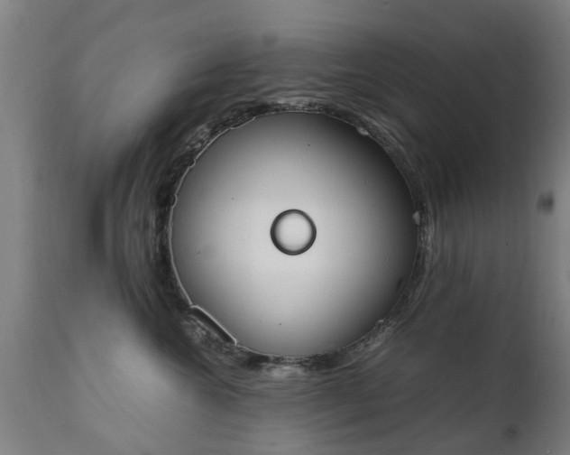 X0000111450572200907201052