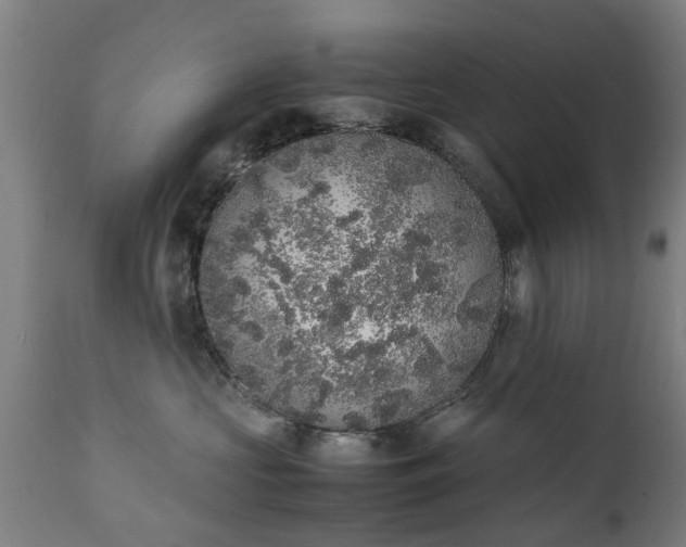 X0000111450573200907201052
