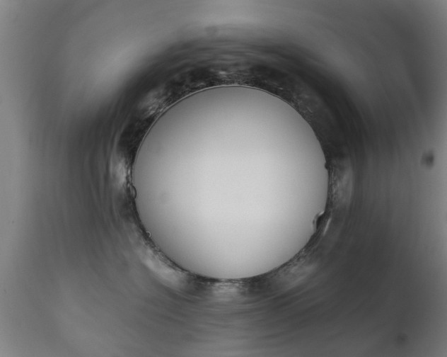 X0000111450574200907201052