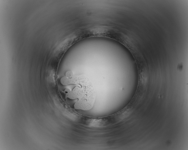 X0000111450575200907201052