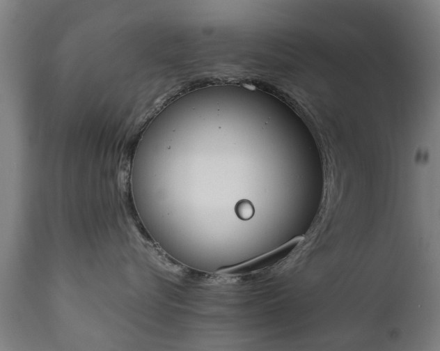 X0000111450576200907201052