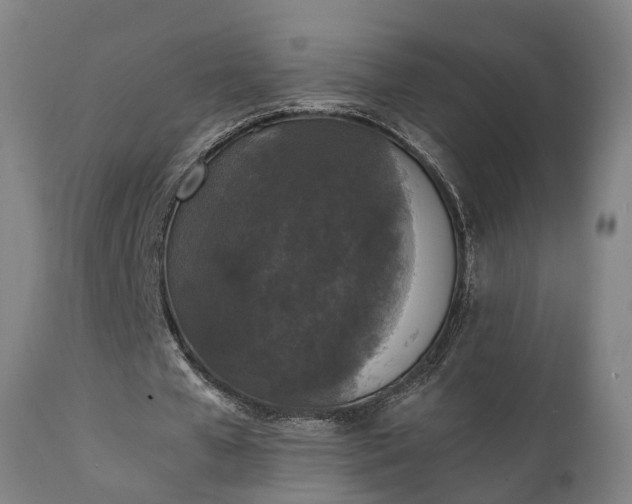 X0000111450577200907201051