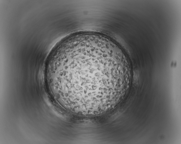 X0000111450580200907201051