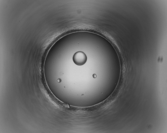 X0000111450581200907201051