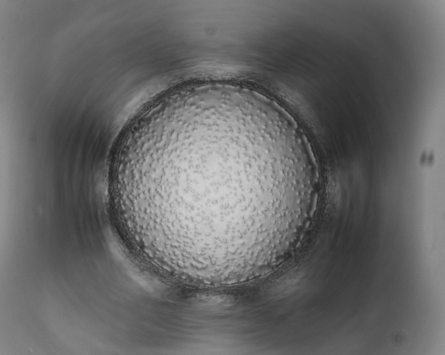 X0000111450582200907201051