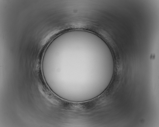 X0000111450583200907201051