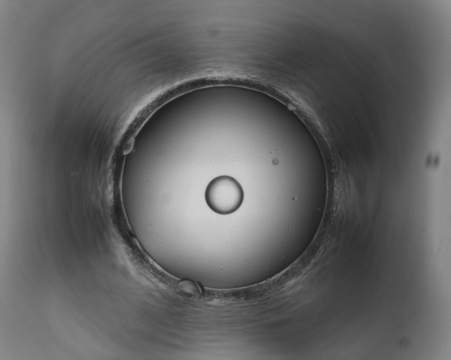 X0000111450584200907201051