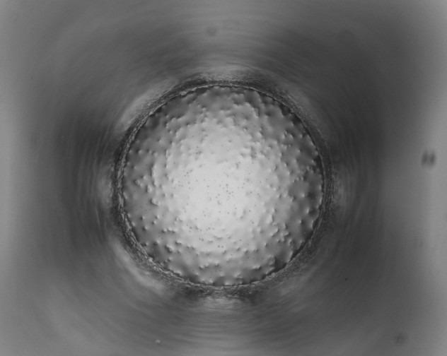 X0000111450586200907201051