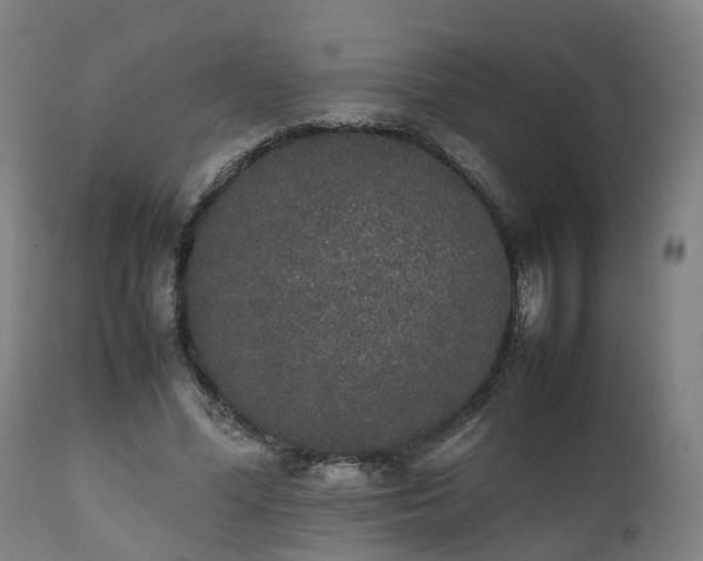 X0000111450588200907201051