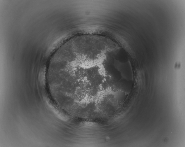 X0000111450590200907201051