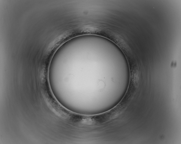 X0000111450591200907201051