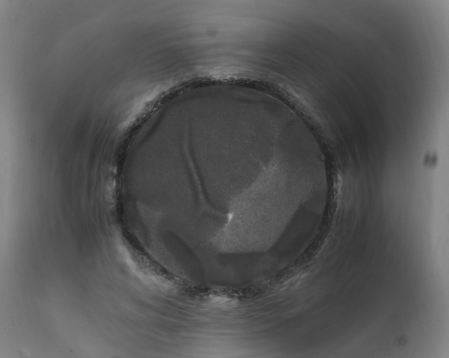 X0000111450592200907201051
