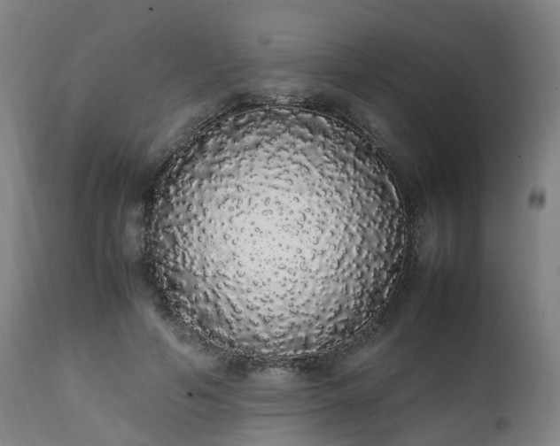 X0000111450594200907201051