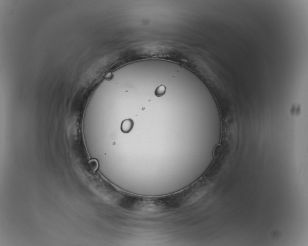 X0000111450597200907201051