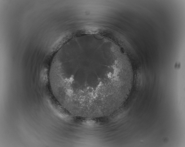 X0000111450598200907201051