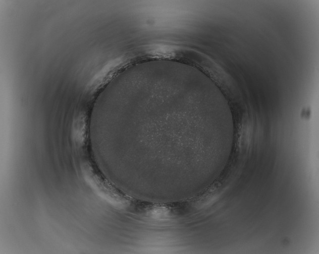 X0000111450600200907201051