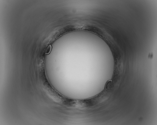 X0000111450601200907201051