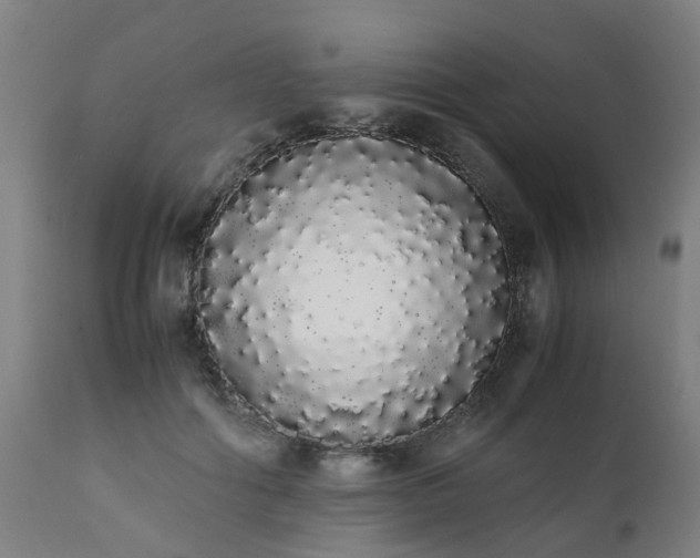 X0000111450602200907201051