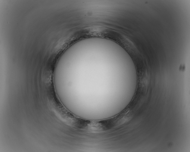 X0000111450603200907201051