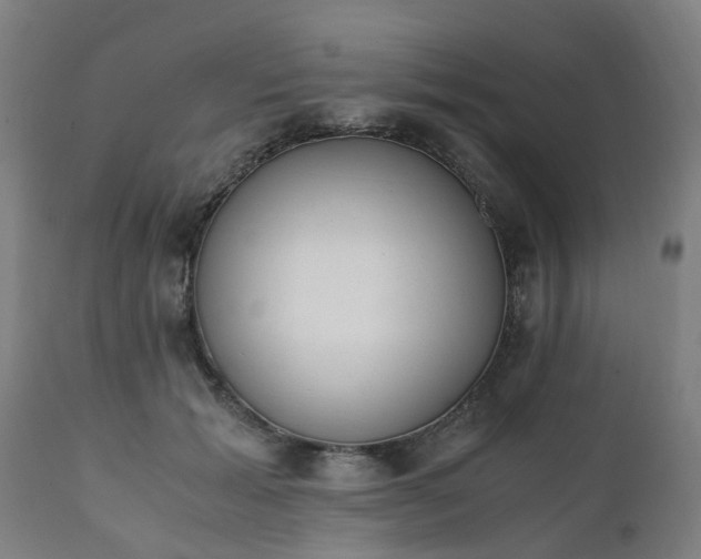 X0000111450605200907201051