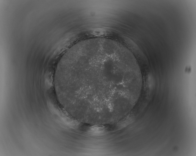 X0000111450606200907201051