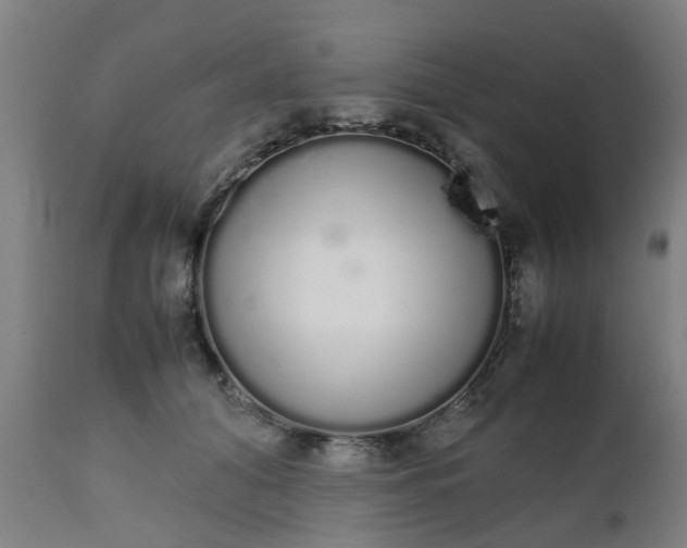 X0000111450608200907201051