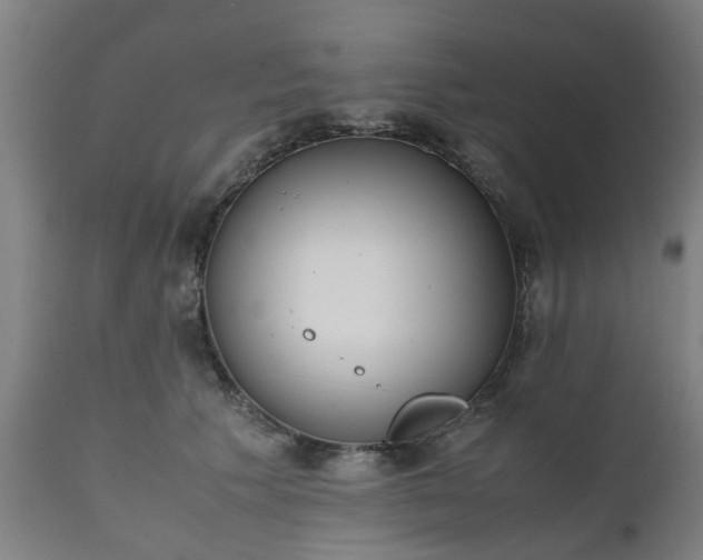 X0000111450609200907201051