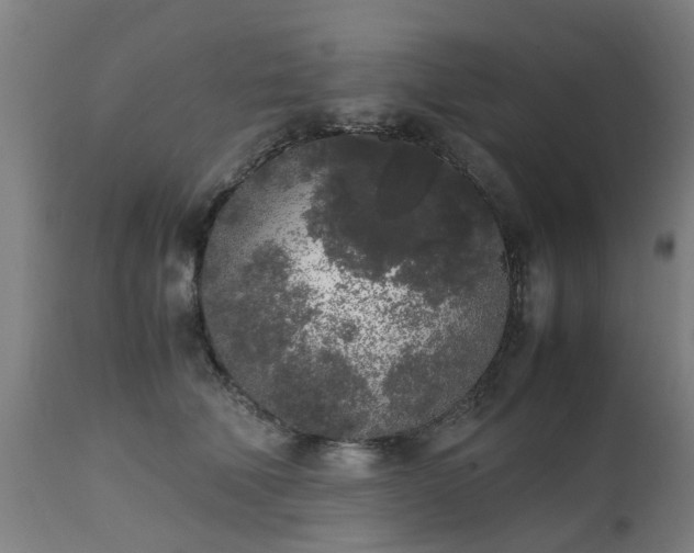 X0000111450610200907201051