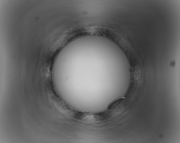 X0000111450611200907201051