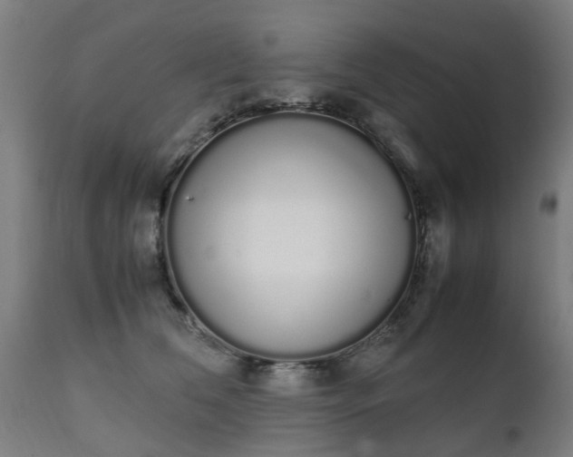 X0000111450612200907201051