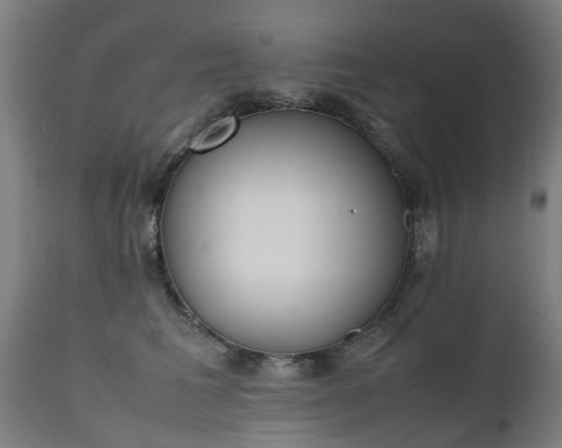 X0000111450613200907201051