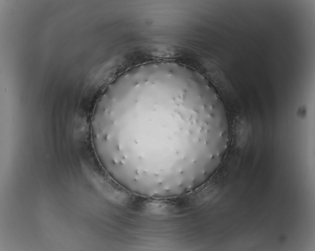 X0000111450614200907201051