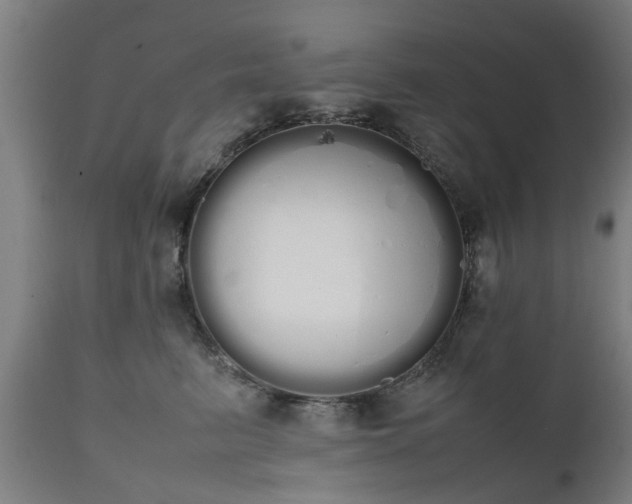 X0000111450615200907201051