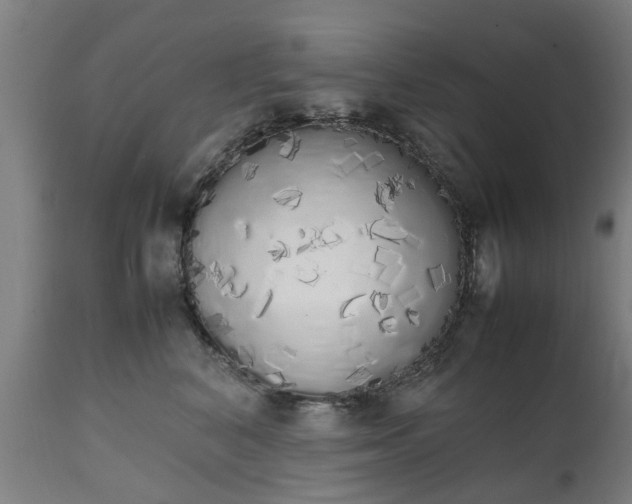 X0000111450616200907201051