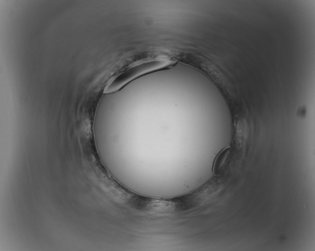 X0000111450617200907201051