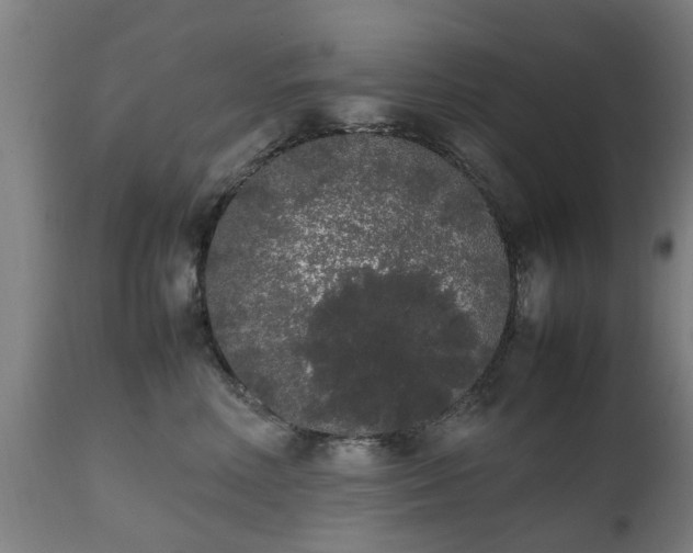 X0000111450618200907201051