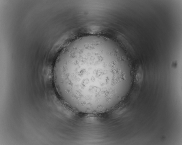 X0000111450620200907201051
