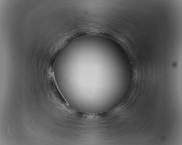 X0000111450621200907201051