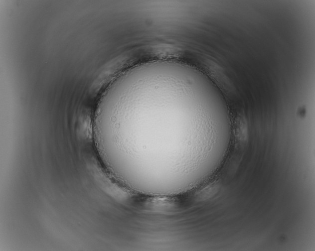 X0000111450622200907201051