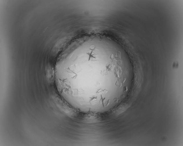X0000111450624200907201050