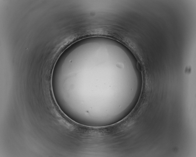 X0000111450625200907201049