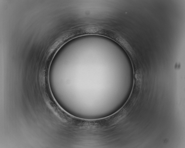 X0000111450626200907201050