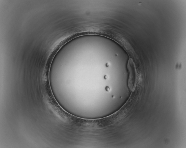 X0000111450628200907201050
