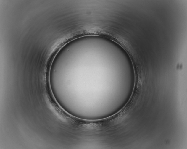 X0000111450630200907201050