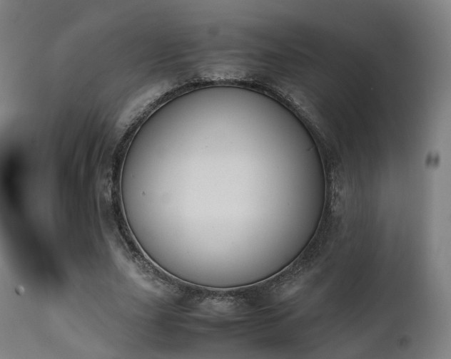 X0000111450631200907201050