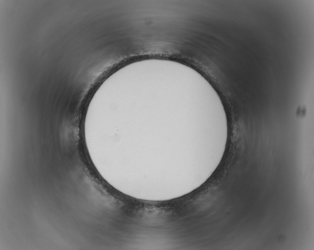 X0000111450632200907201050