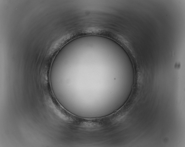 X0000111450633200907201050