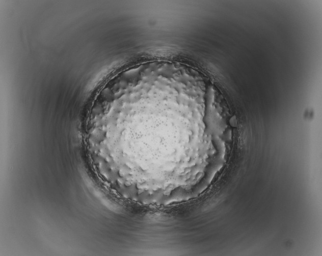 X0000111450634200907201050