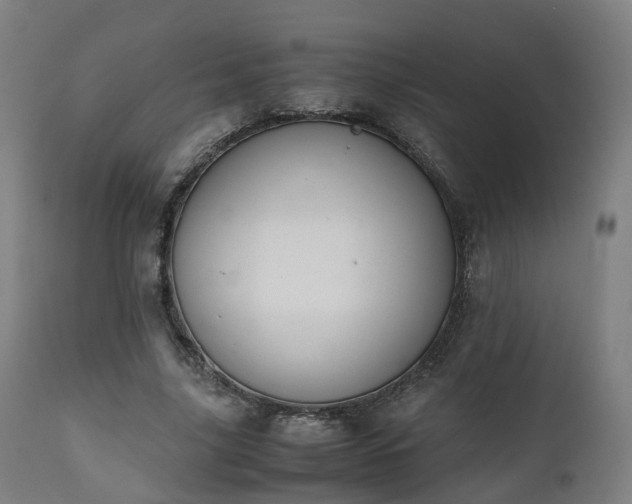 X0000111450635200907201050