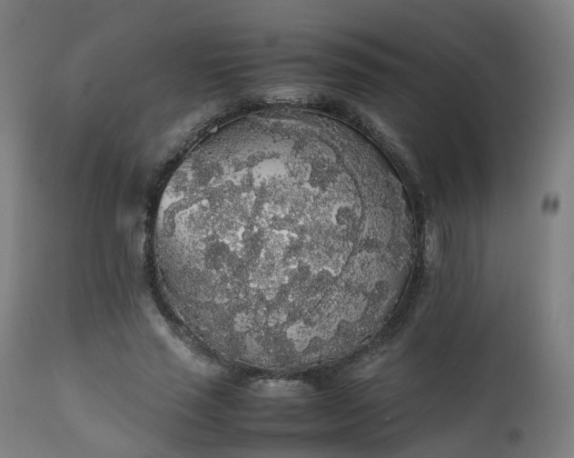 X0000111450637200907201050